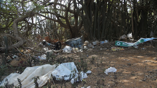 Re-Rise: Recycle and Upcycle Workshop