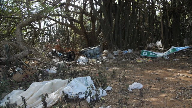 Re-Rise: Recycle and Upcycle Workshop