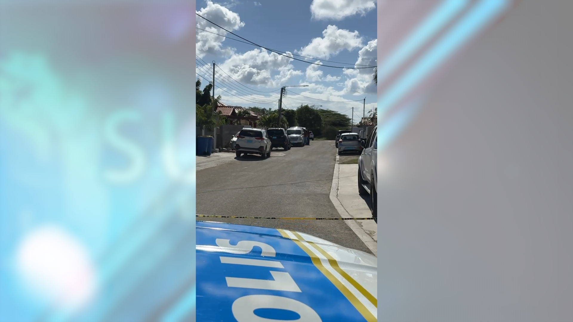 A haya curpa sin bida den freezer na Solito