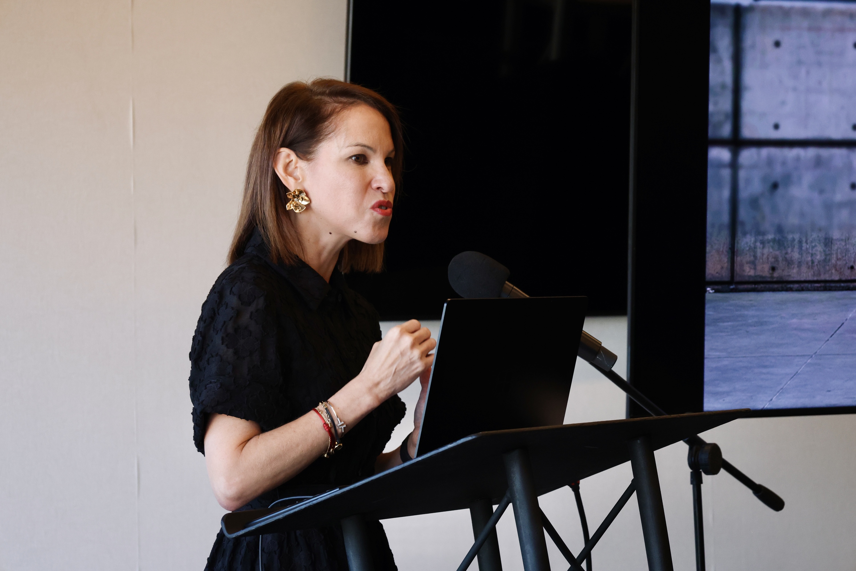 Aruba ta prepara pa maneha e miho ‘high season’ den historia