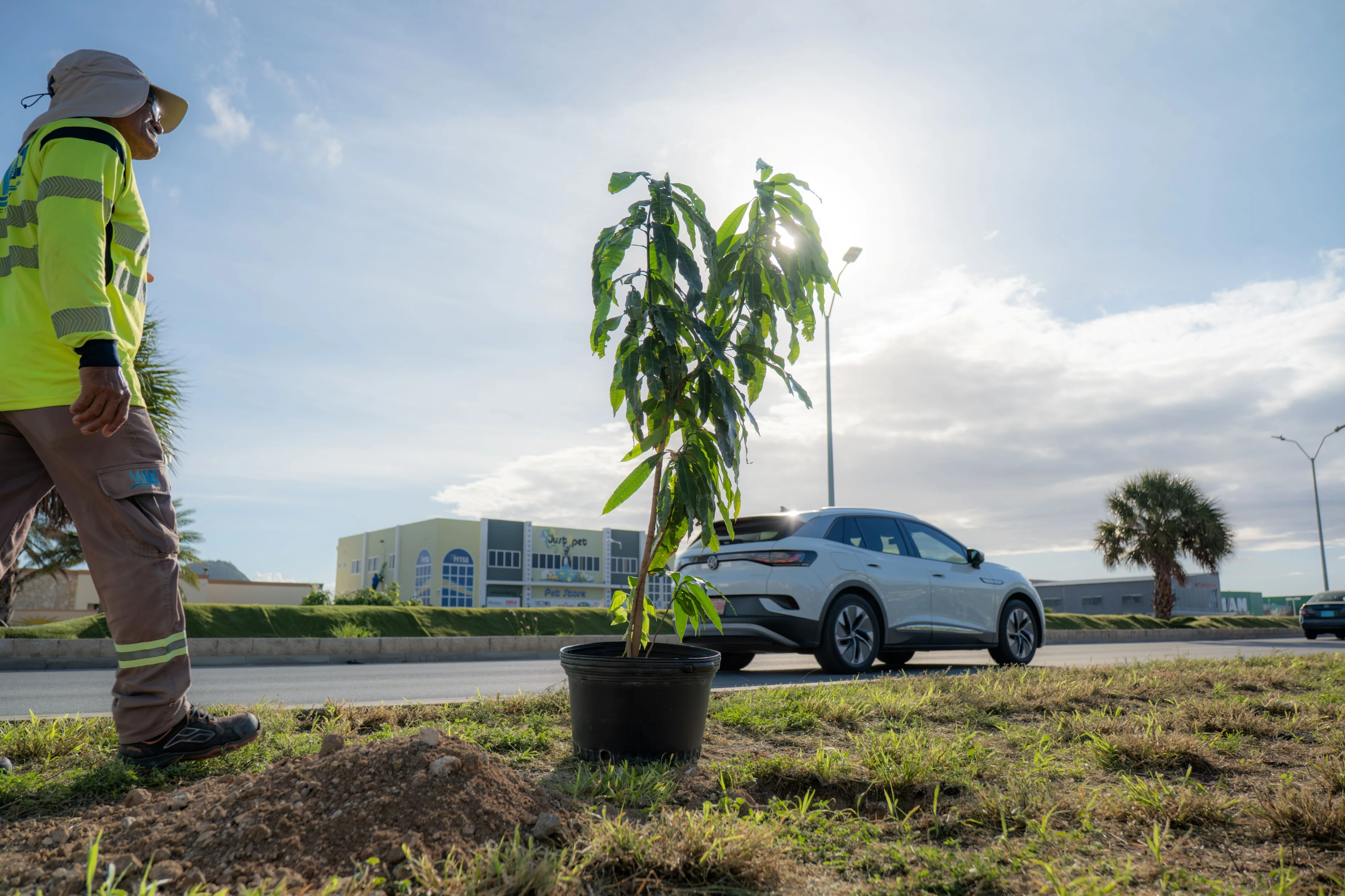 Proyecto piloto pa espacio berde urbano na Maracastraat, Dakota: Un Paso firme den Programa Nacional di Reforestacion