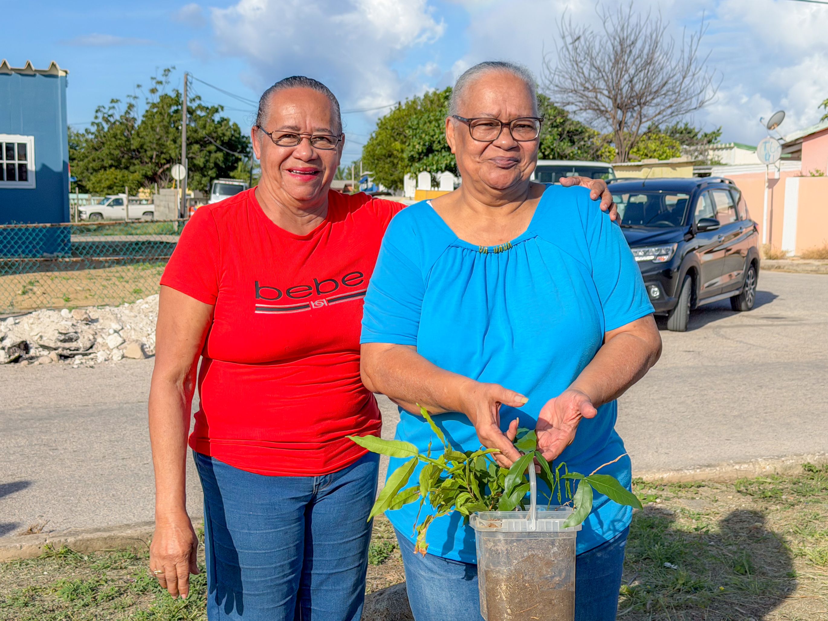 Proyecto piloto pa espacio berde urbano na Maracastraat, Dakota: Un Paso firme den Programa Nacional di Reforestacion