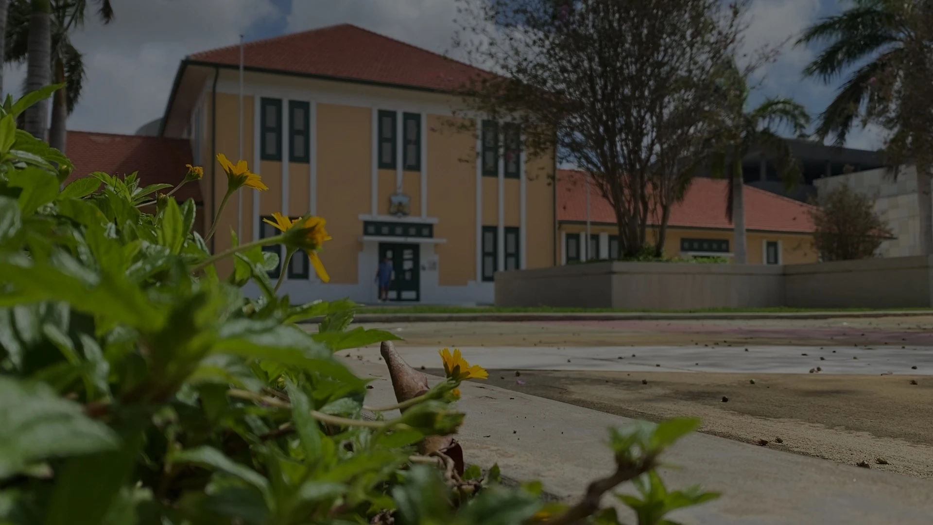 Chauffeur sin rijbewijs cu a dal peaton y core bay dilanti Hues