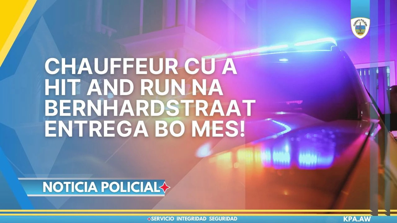 Chauffeur cu a hit and run na Bernhardstraat para responsabel y entrega bo mes!