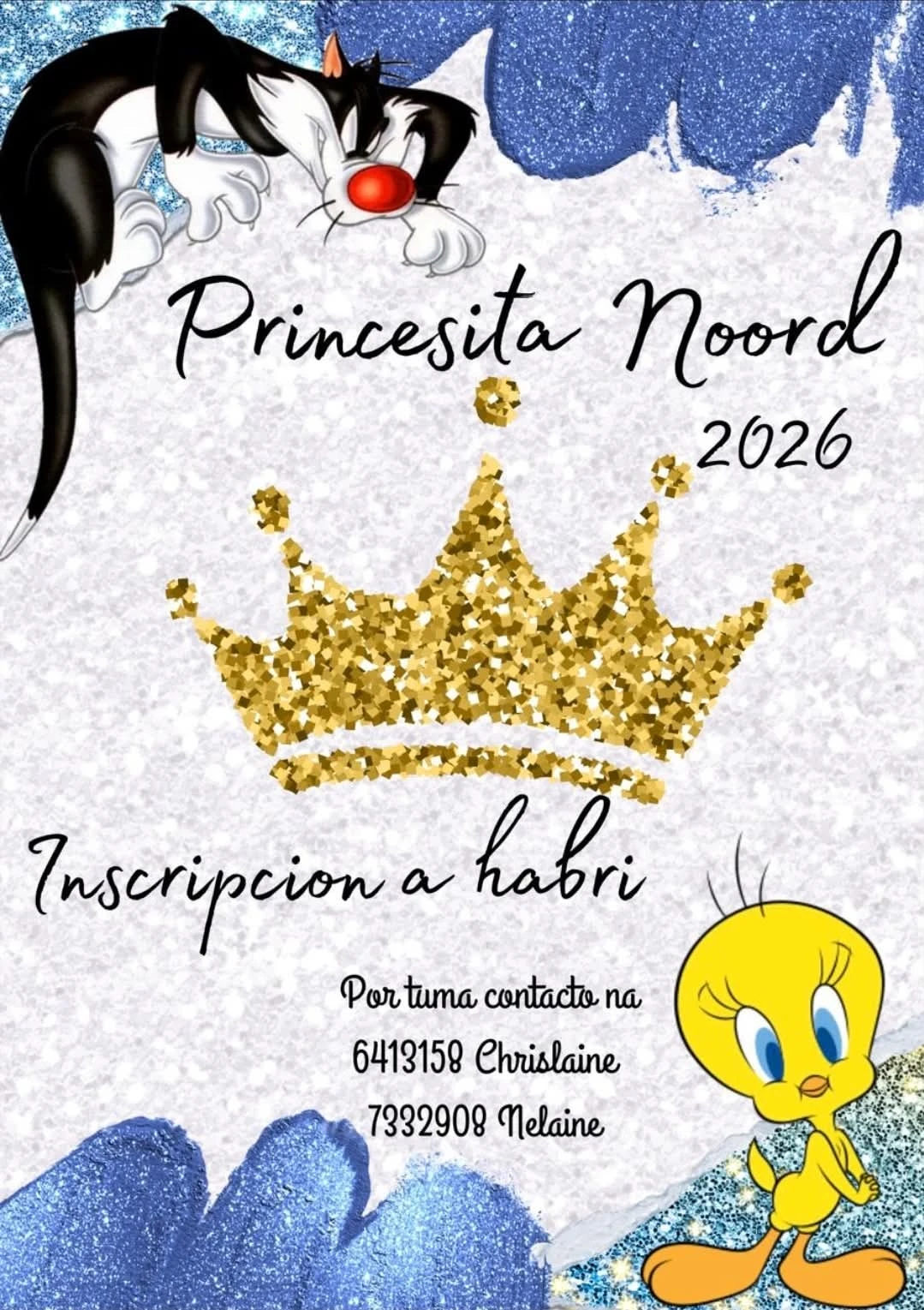 Eleccion Princesita Noord 2026