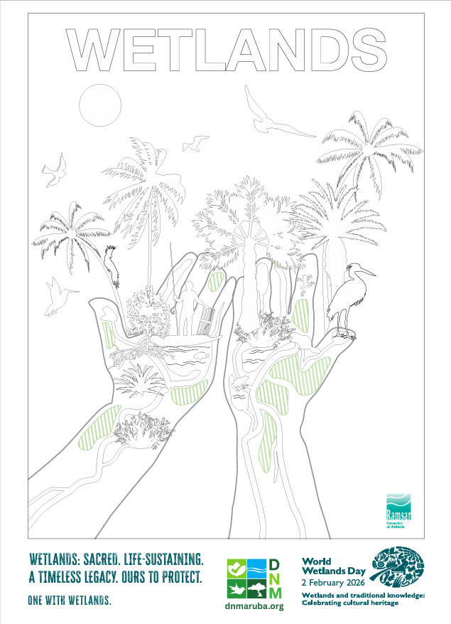 Directie Natuur en Milieu (DNM) ta invita nos muchanan pa “ban pinta pa Dia Mundial di Wetlands 2026”