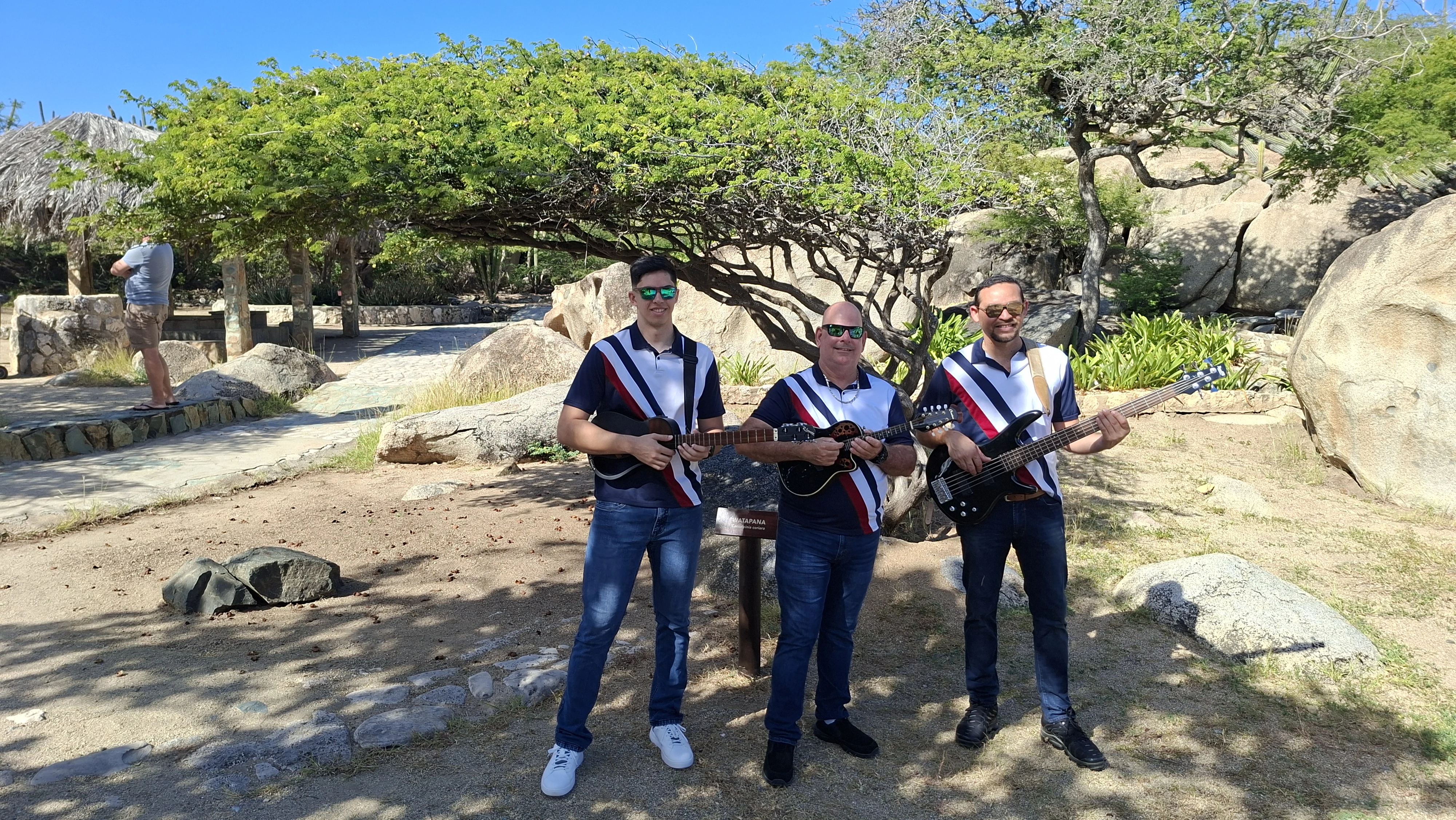 Produccion nobo 297 Strings