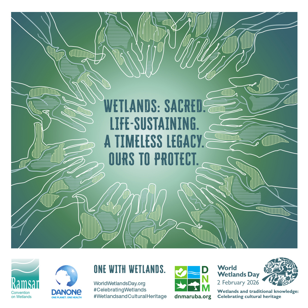 Aruba ta celebra Dia Mundial di Wetlands: Protehando nos herencia y naturalesa