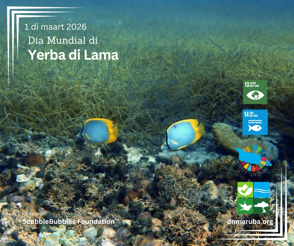 Dia Mundial di Yerba di Lama: Protehando un herencia marino esencial pa nos isla