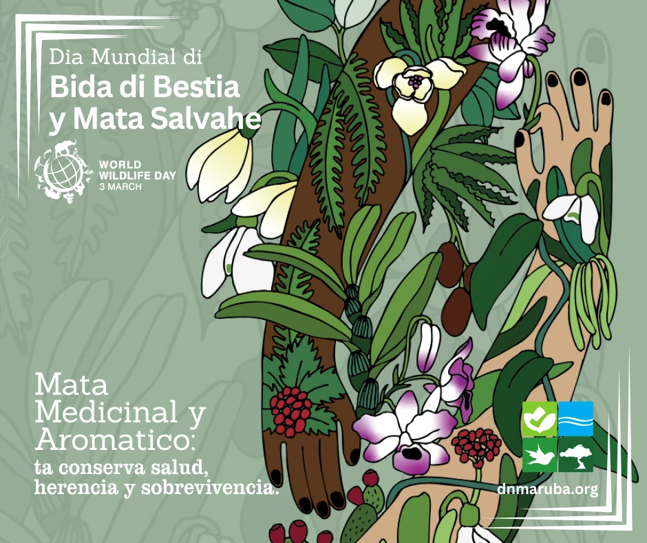 Directie Natuur en Milieu ta conmemora Dia Mundial di Bida di Bestia y Mata Salvahe 2026