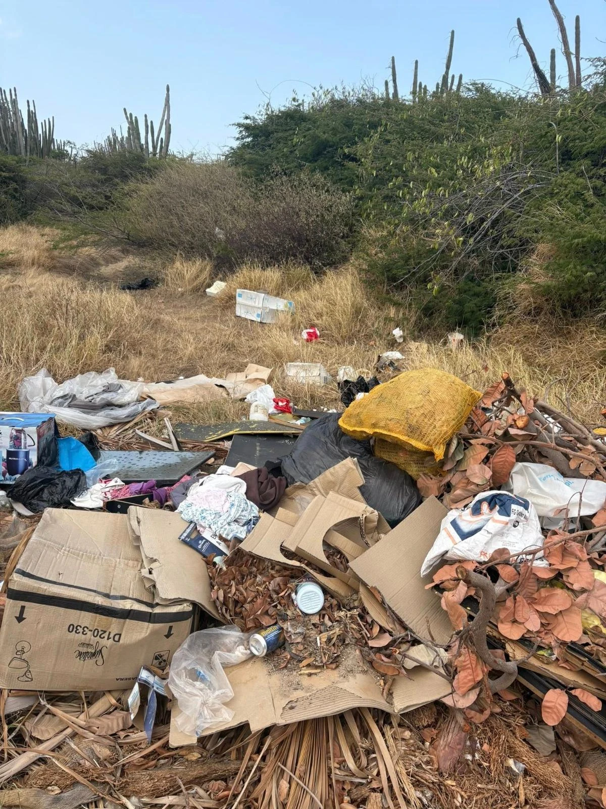 Sushi deposita na damnan ta menasa pa salud publico