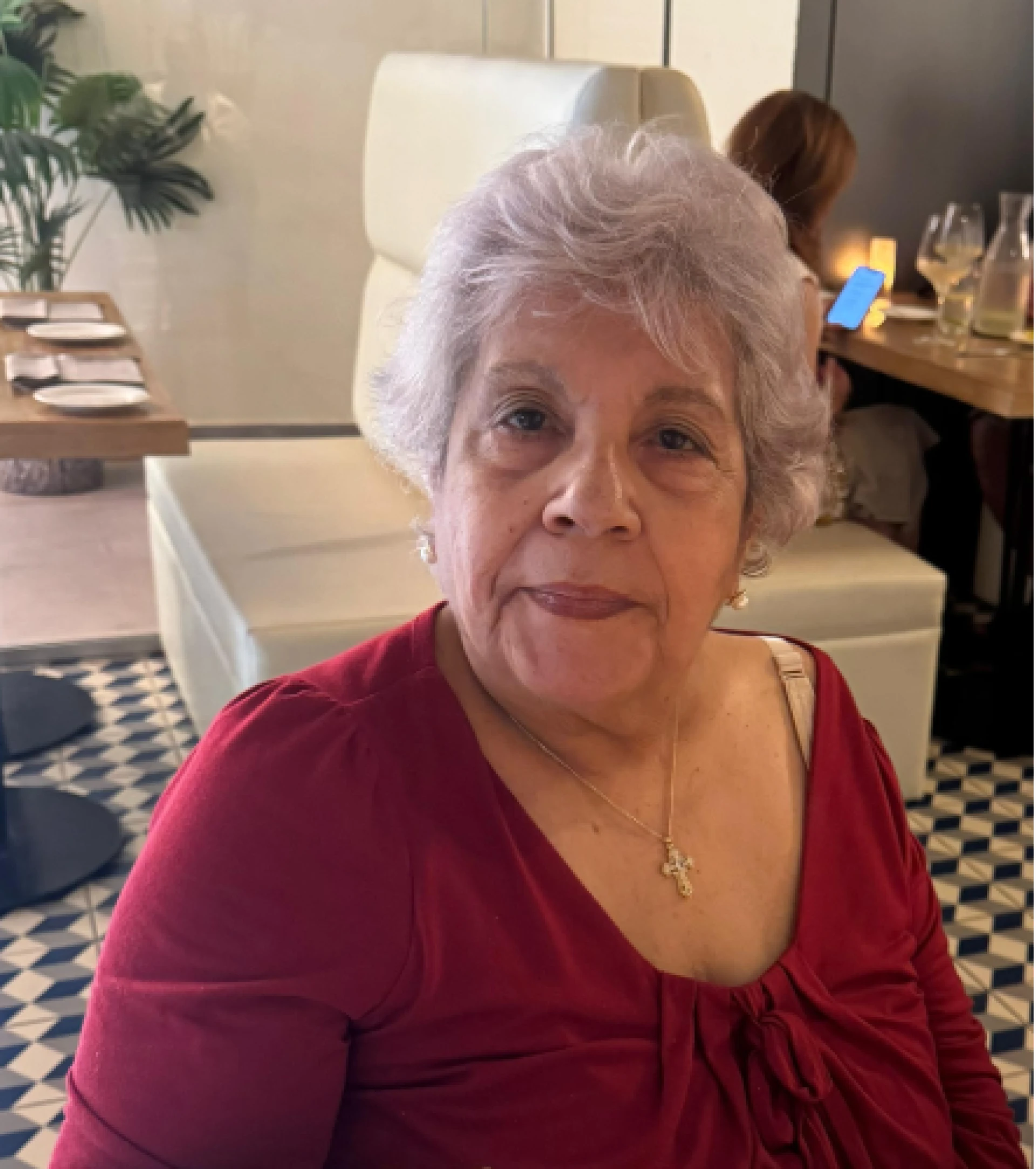 Cuminsamento di status aparte: Raad van advies:conseho legislativo