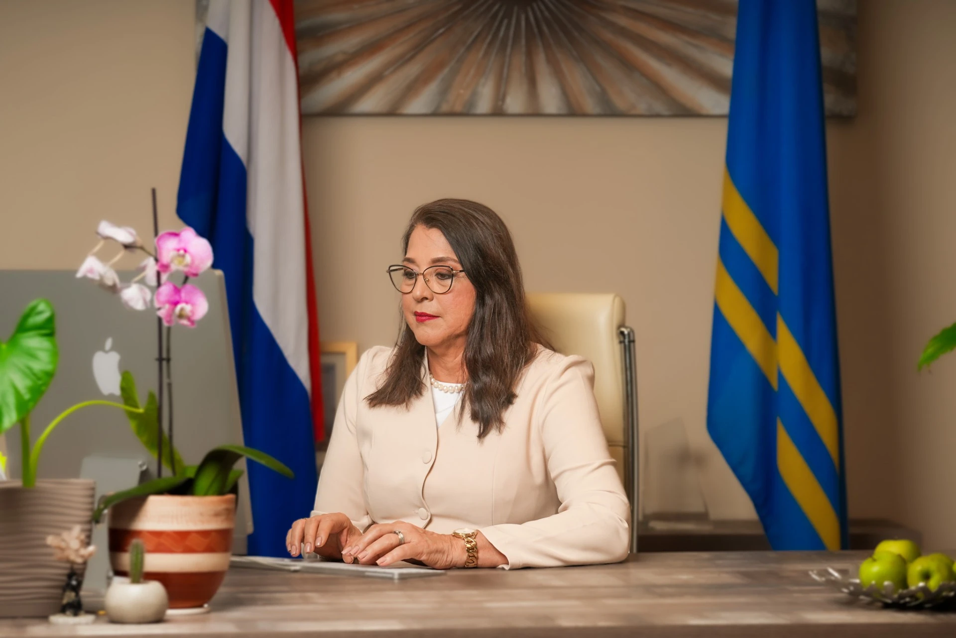 Ministerio di Salubridad ta formalisa maneho nacional pa revalidacion y medionan di apoyo