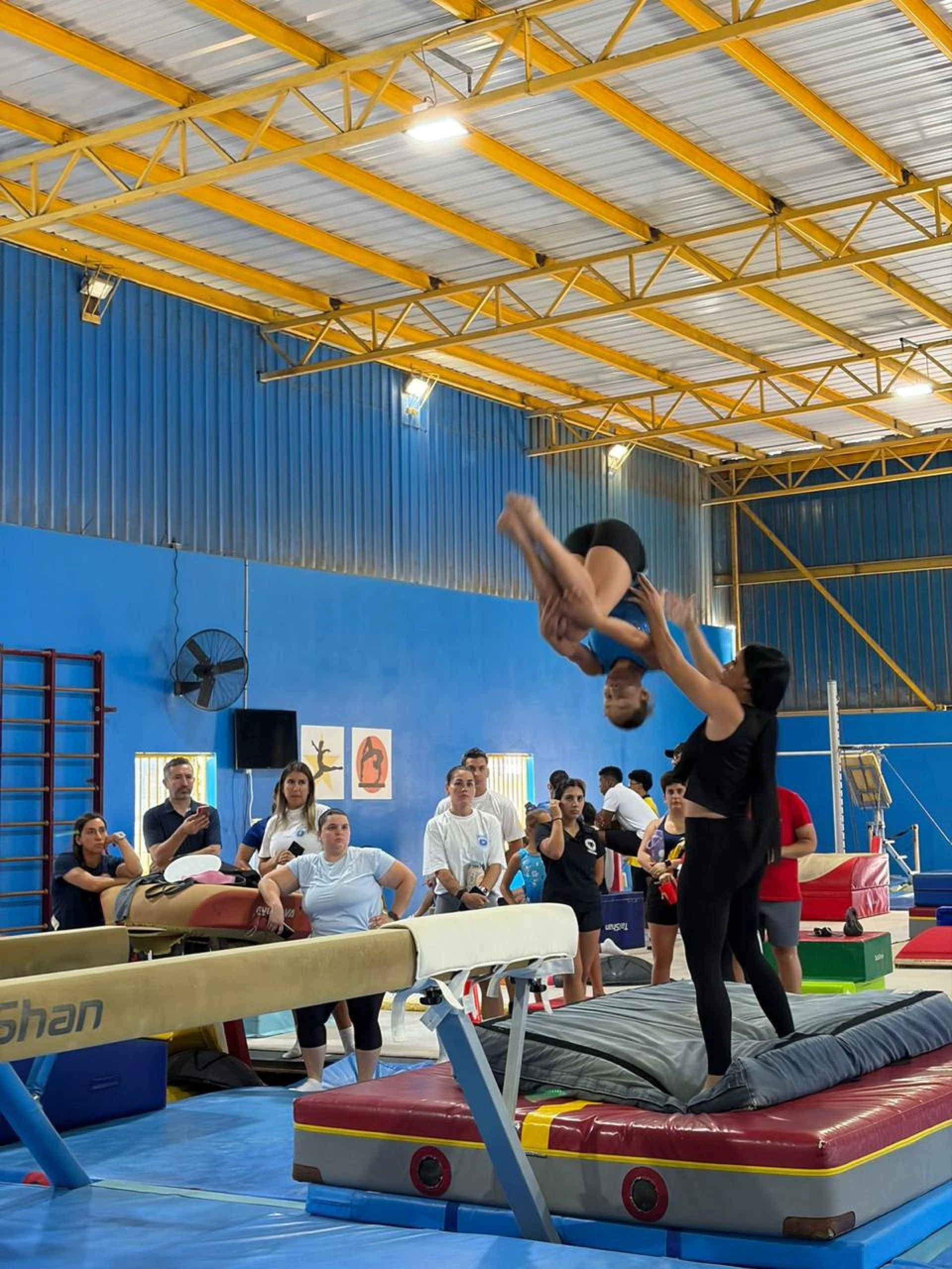 Federacion Gymnastico Arubano y Academia FIG  a organisa curso internacional di Gimnasa Artistica