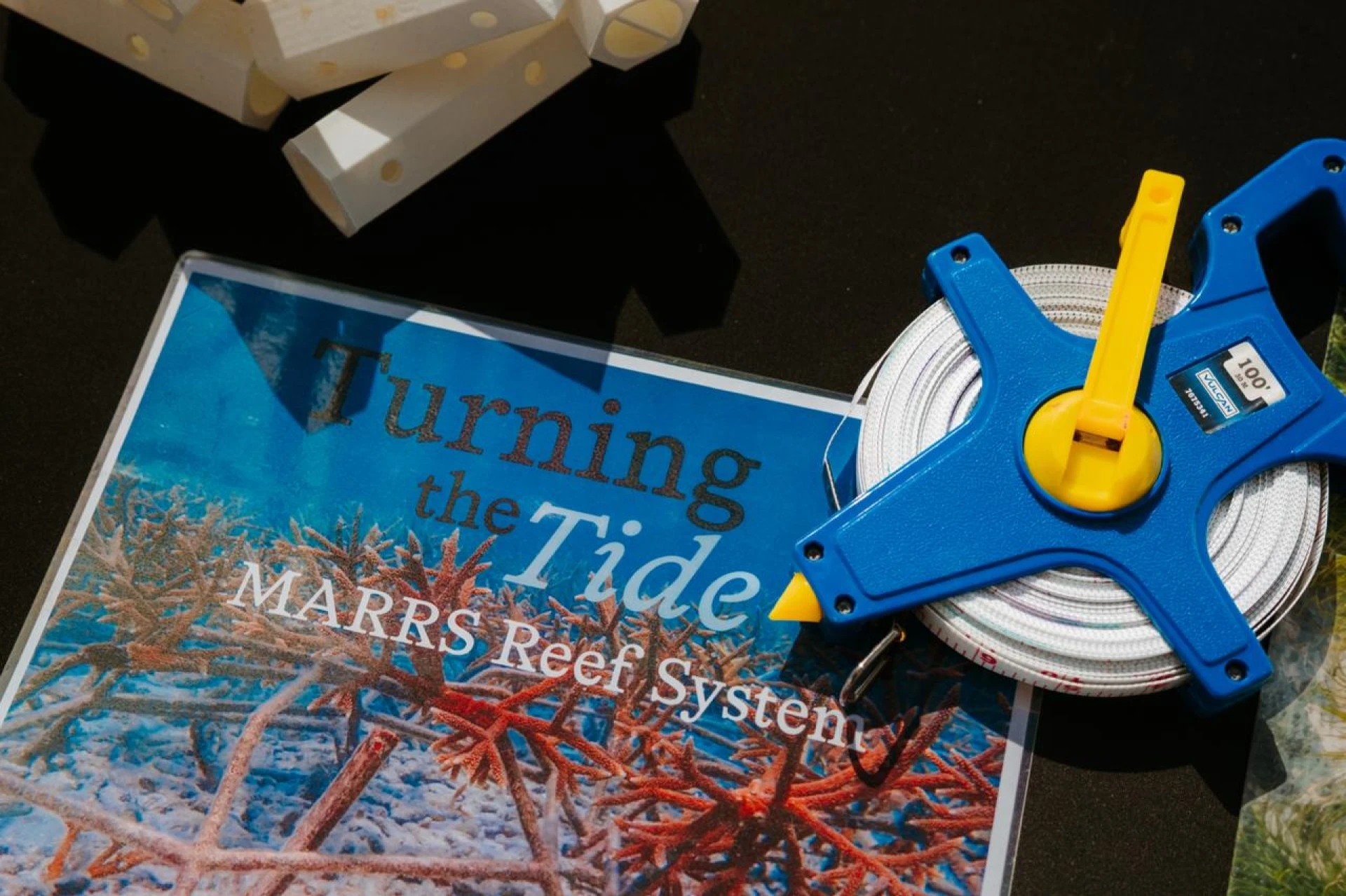 Aruba ta riba caminda pa un futuro sostenibel cu parke marino, restauracion di coral y reforestacion