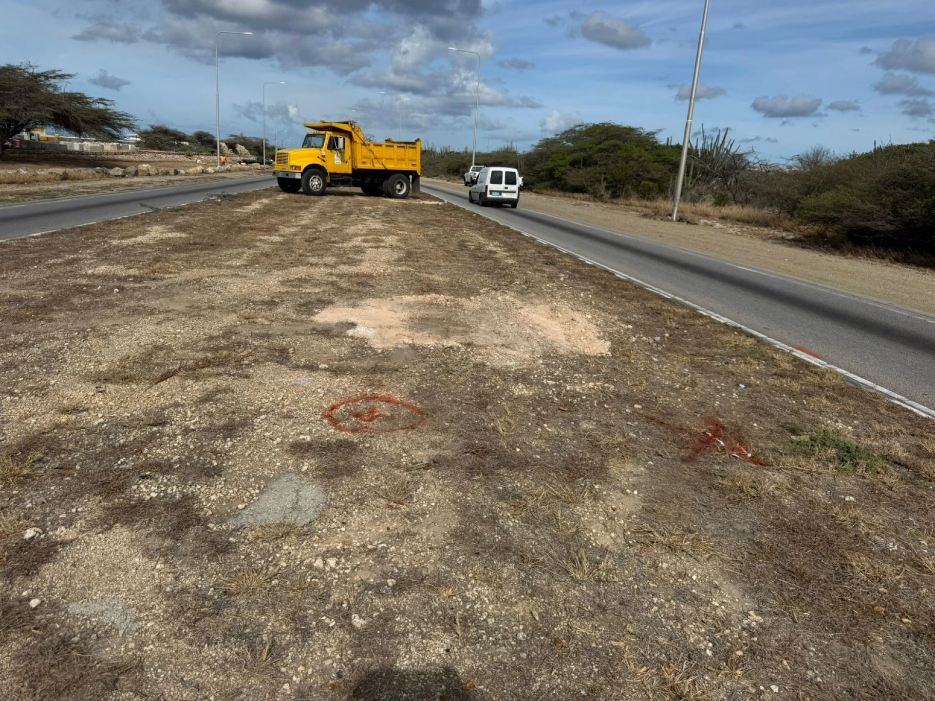 Proyecto di reforestacion na berm di Henny Eman Boulevard ta avansa