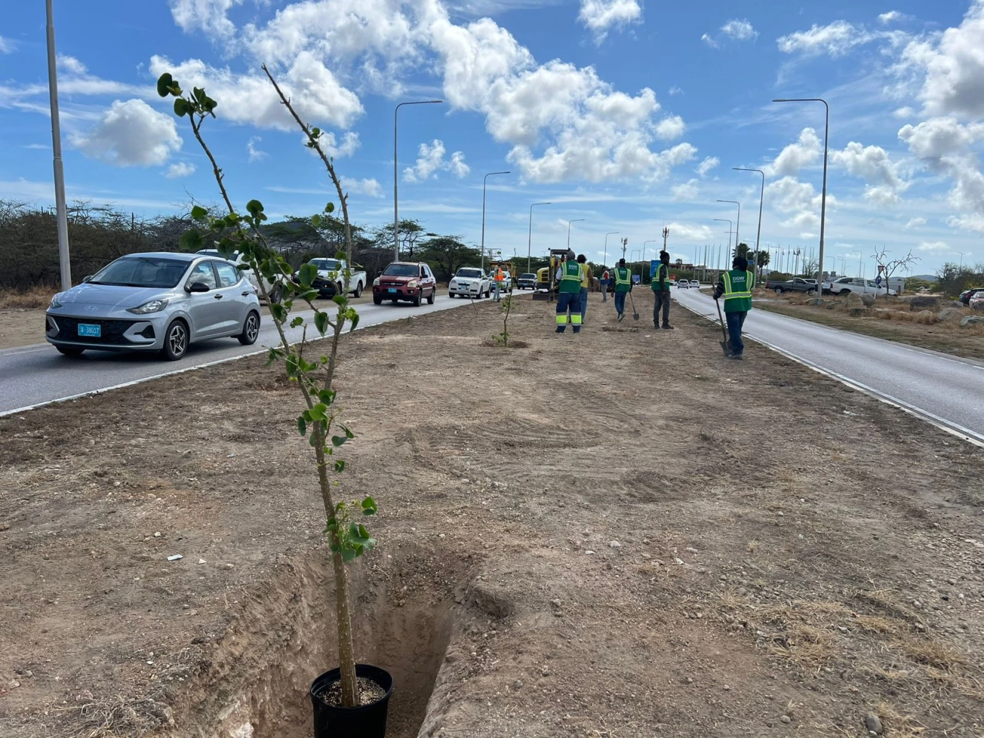 Prome Minister ta invita comunidad pa uni na e ceremonia di reforestacion Dia di Rey na Henny Eman Boulevard
