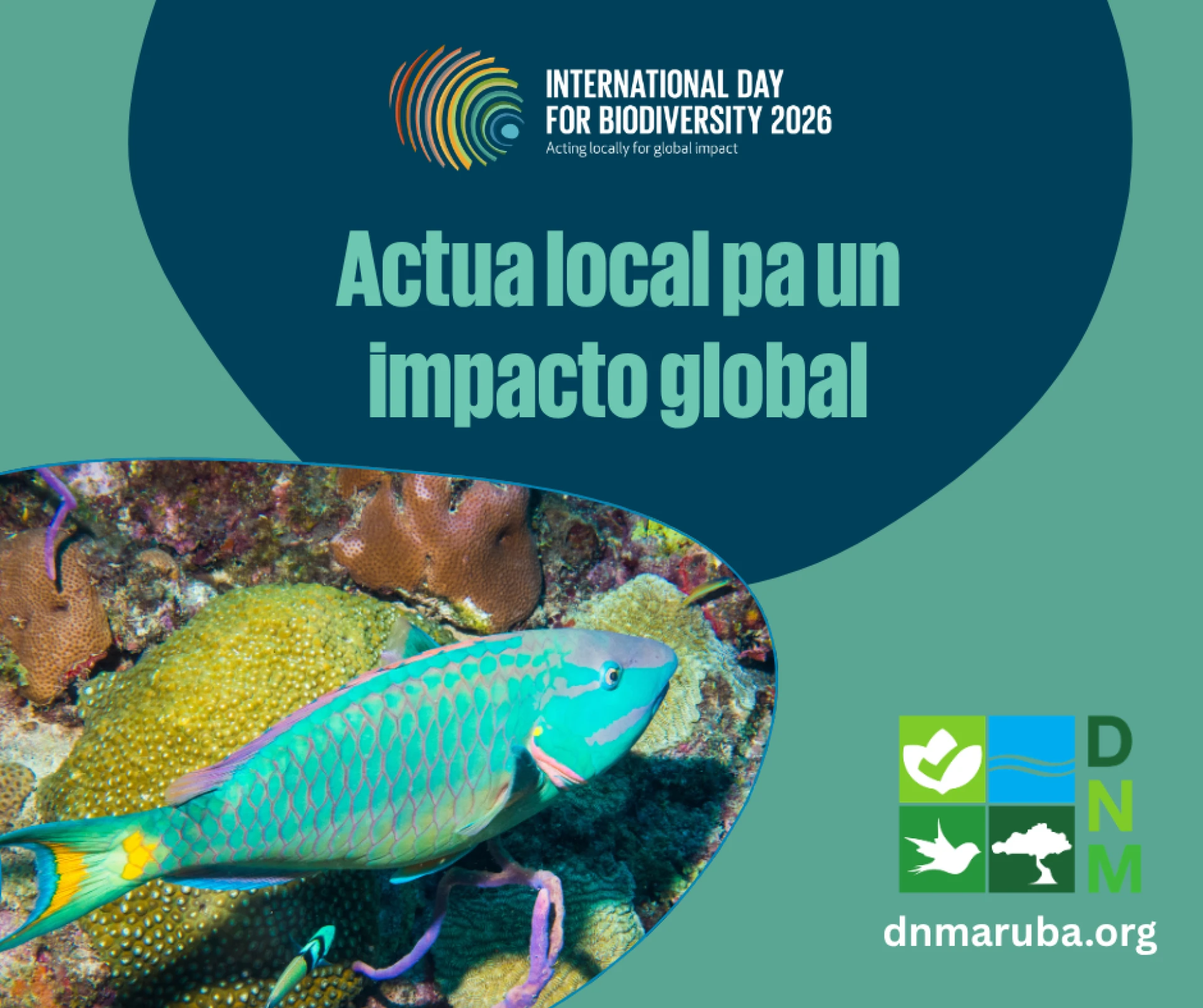 DNM ta lansa seccion flora y fauna database riba nan website di tur e especienan proteha na Aruba