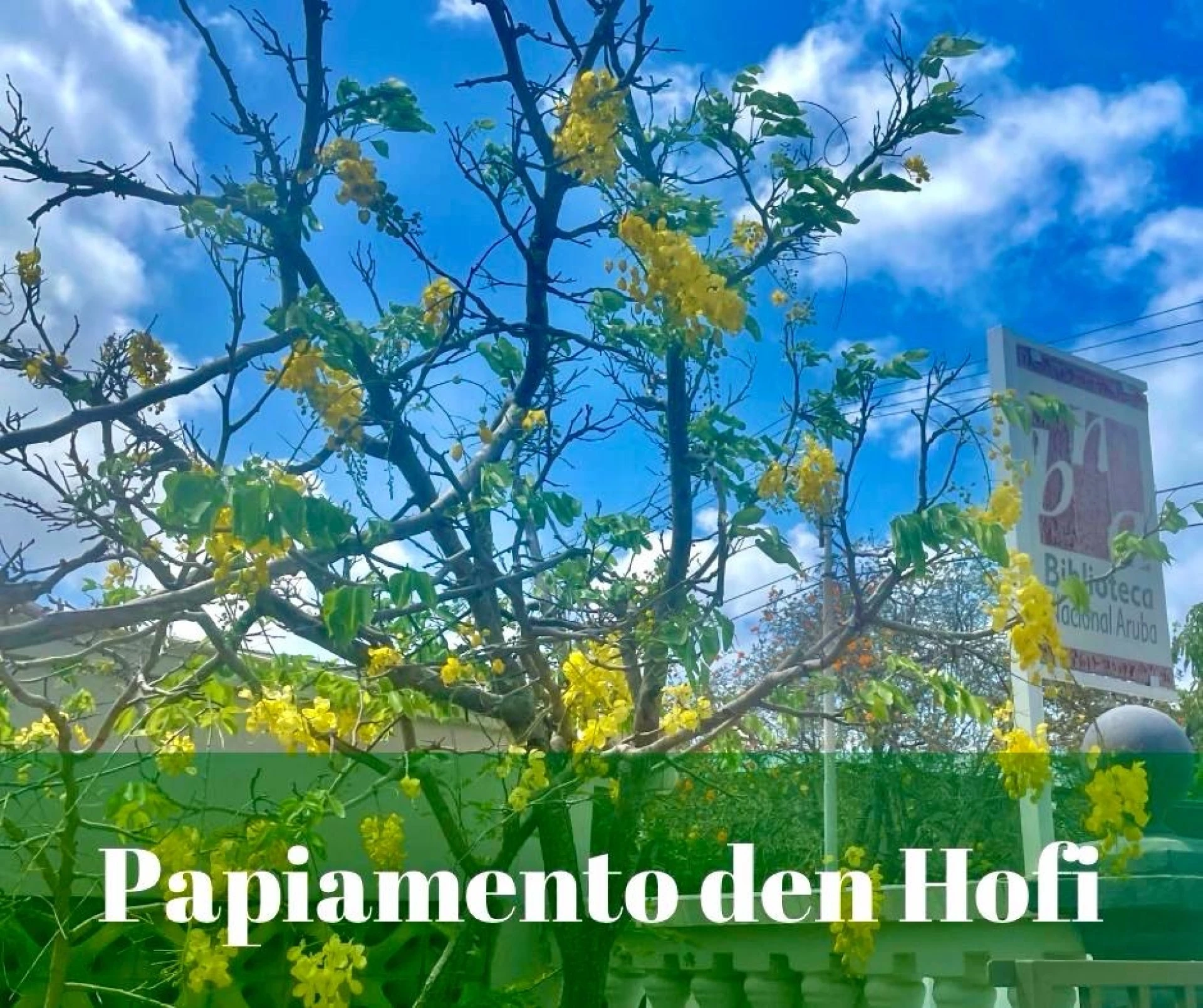 Papiamento den Hofi: Un anochi di cultura y celebracion di nos idioma